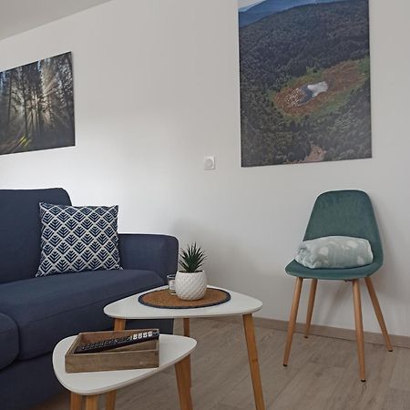 Chalet Kelly, Centre Ville / Jacuzzi / Sauna Gérardmer Eksteriør bilde