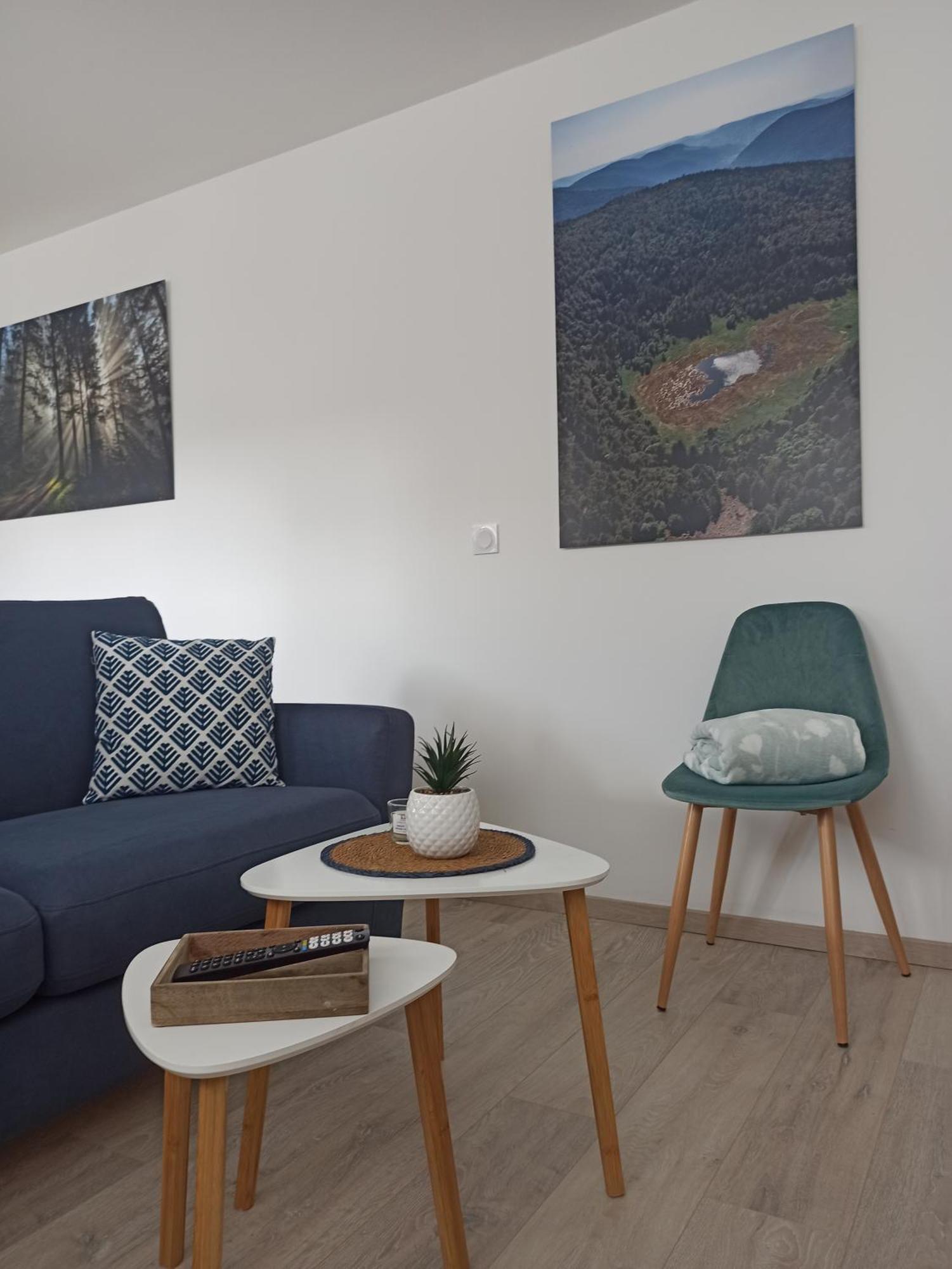 Chalet Kelly, Centre Ville / Jacuzzi / Sauna Gérardmer Eksteriør bilde